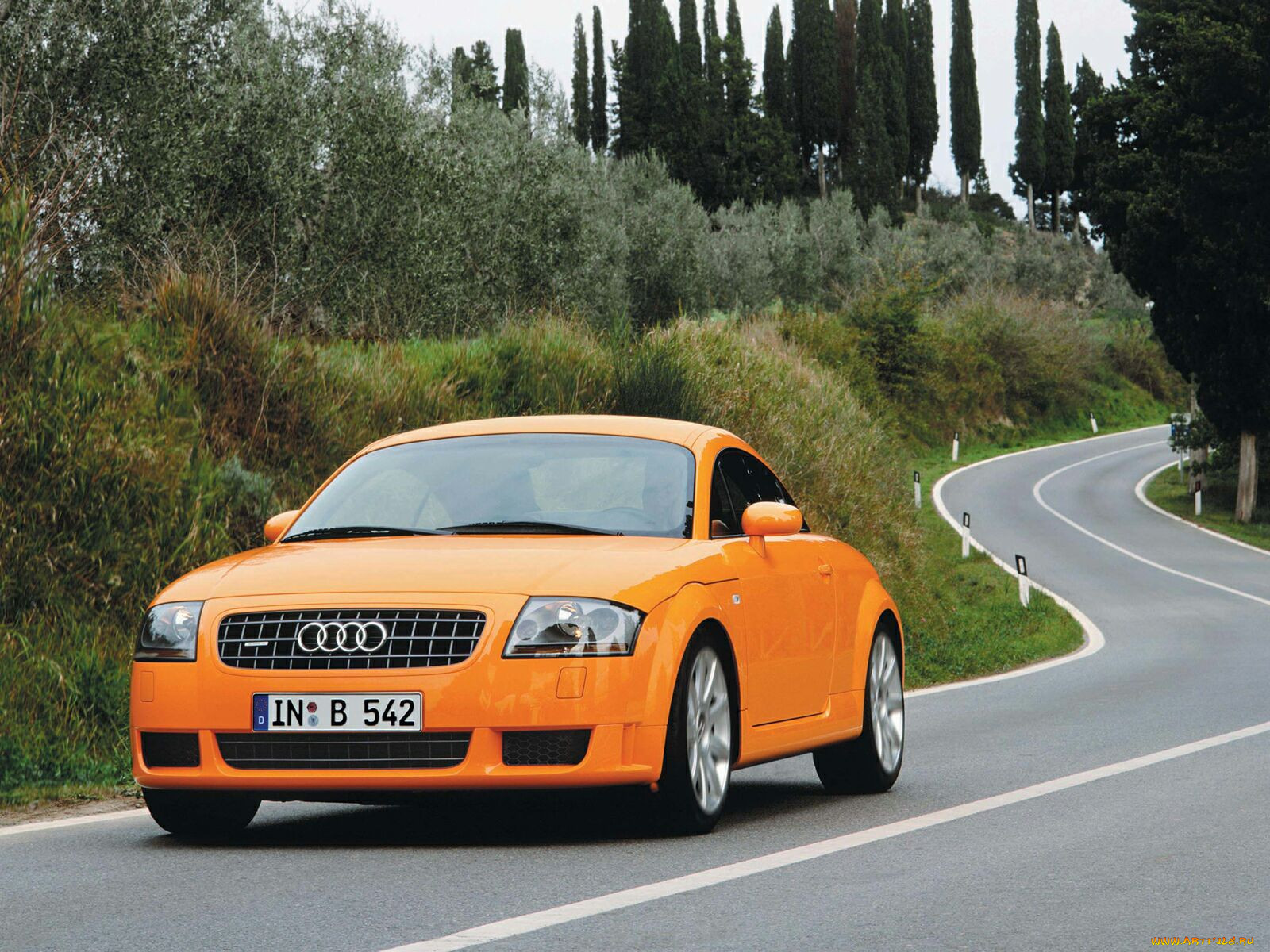 , audi